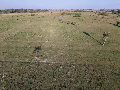Lotes en venta | colonia porvenir