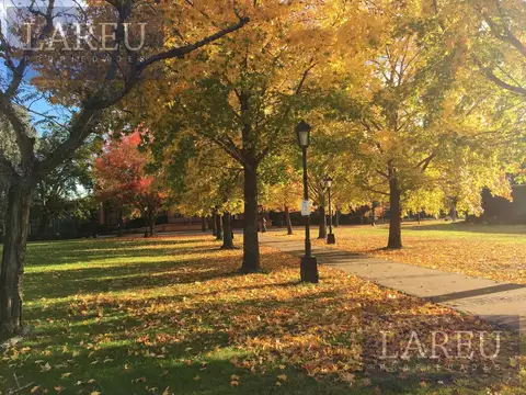 Terreno - La Delfina