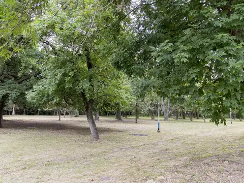 Lisandro de la torre  al 4500