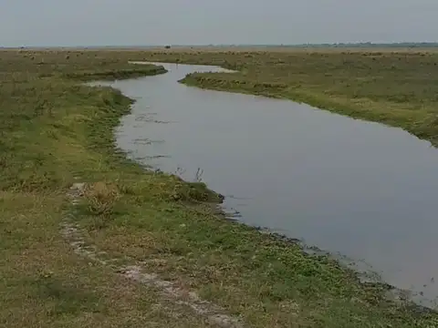 Zona Rural