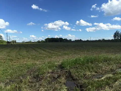 Terreno en Venta de 600,0 m2