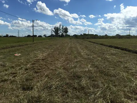 Terreno en Venta en Colonia Benitez, USD 6.000