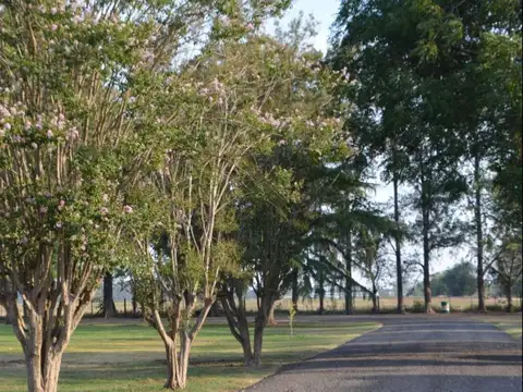 Terreno en Venta 20  mts Frente