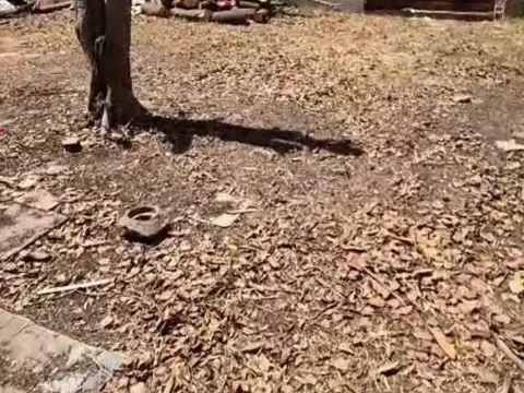 Terreno en Venta de 300,0 m2