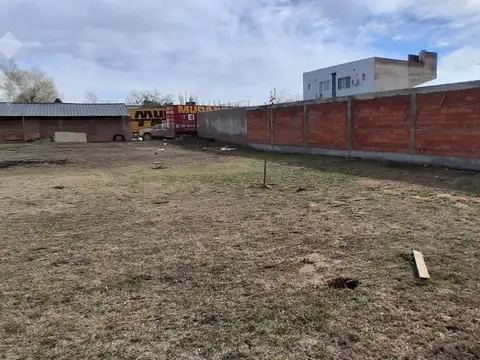 Terreno en Venta 31  mts Fondo