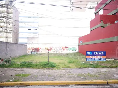 Chiozza 3300