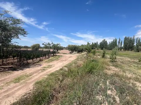VENTA TERRENO INTERNO EN PERDRIEL 7.000m2