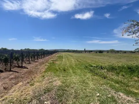 Terreno en Venta en Perdriel, USD 35.000