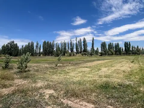 Cobos 3600