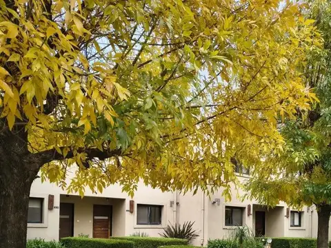 Hermosa Casa En Alquiler En Casas Del Alto