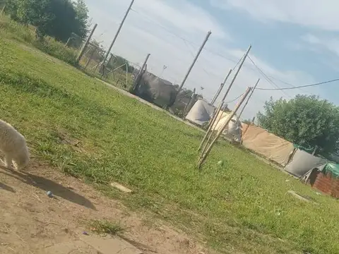 Potosí S/N