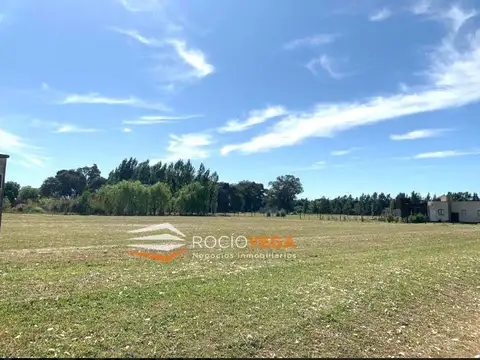 Terreno en Venta 50  mts Fondo
