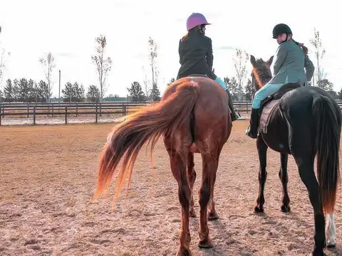 Haras del Sur I