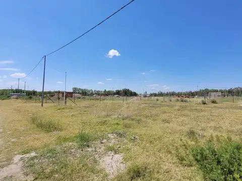 Terreno-Cooperativa 127 hectareas-Plottier 