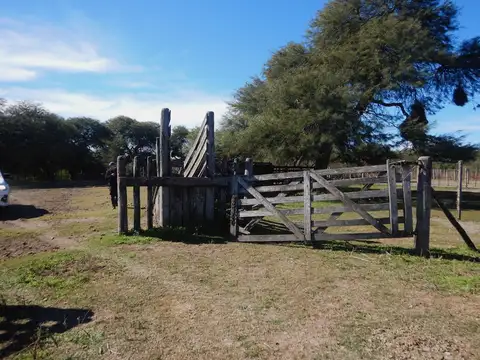 2318 has ganaderas de cría y recría - Aguará Grande - San Cristóbal - Santa Fe