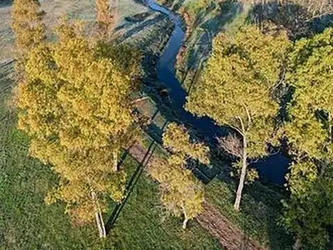 Terreno en Venta de 700,0 m2