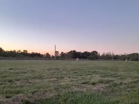 Terreno en Venta en Maximo Paz, USD 14.000