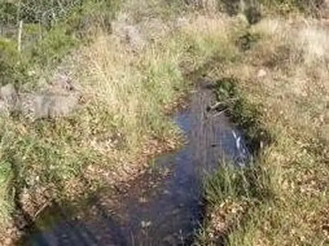 Terreno en Venta de 11169,0 m2