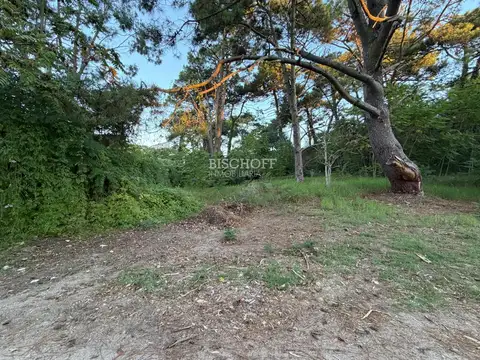 TERRENO MULTIFAMILIAR CON SALIDA A DOS CALLES