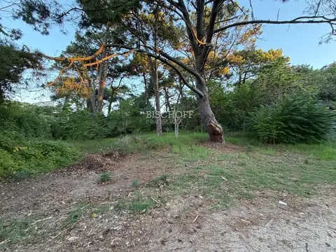 Terreno en Venta en Sur, USD 100.000