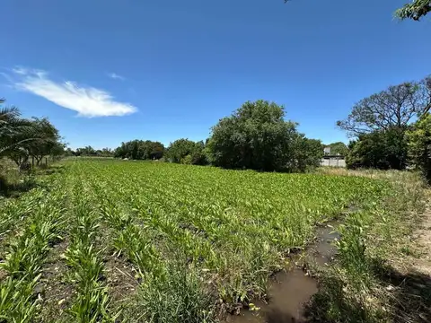 Terreno en Venta de 2500,0 m2