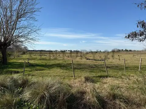 campo de 5 hectáreas y medias