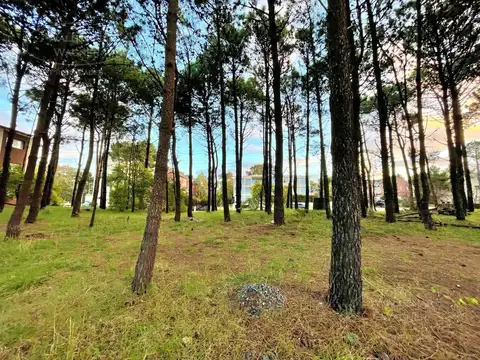 Terreno libre 1163 m² - Pinamar Centro