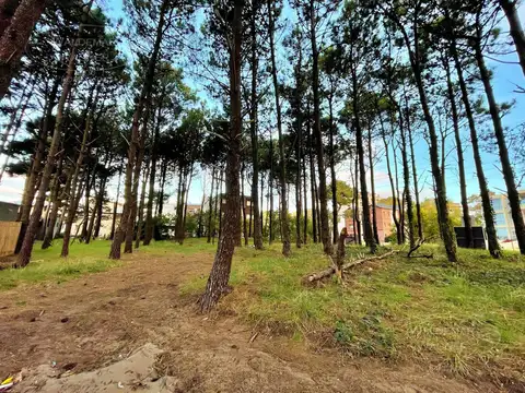 Terreno en Venta 32  mts Fondo