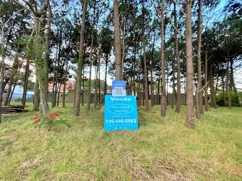 Terreno en Venta 35  mts Frente