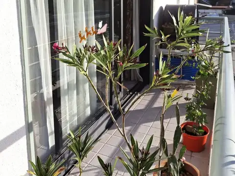 Departamento en Venta en San Andres, USD 124.000