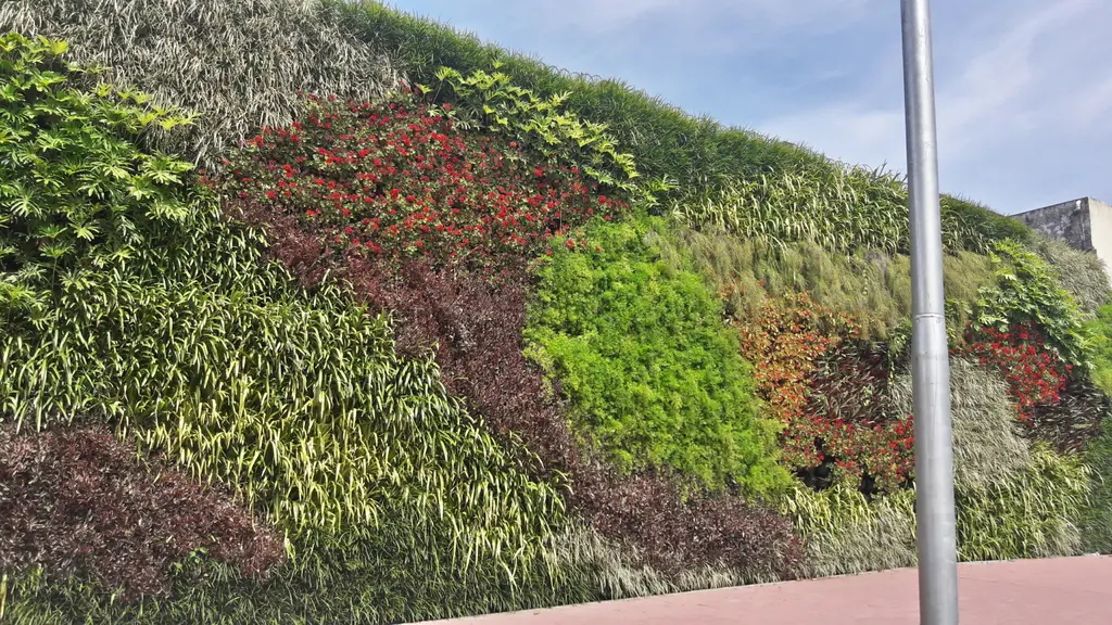 Jardínes verticales