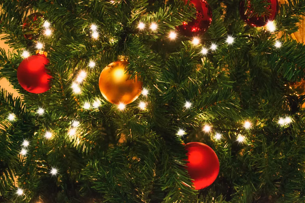 navidad
