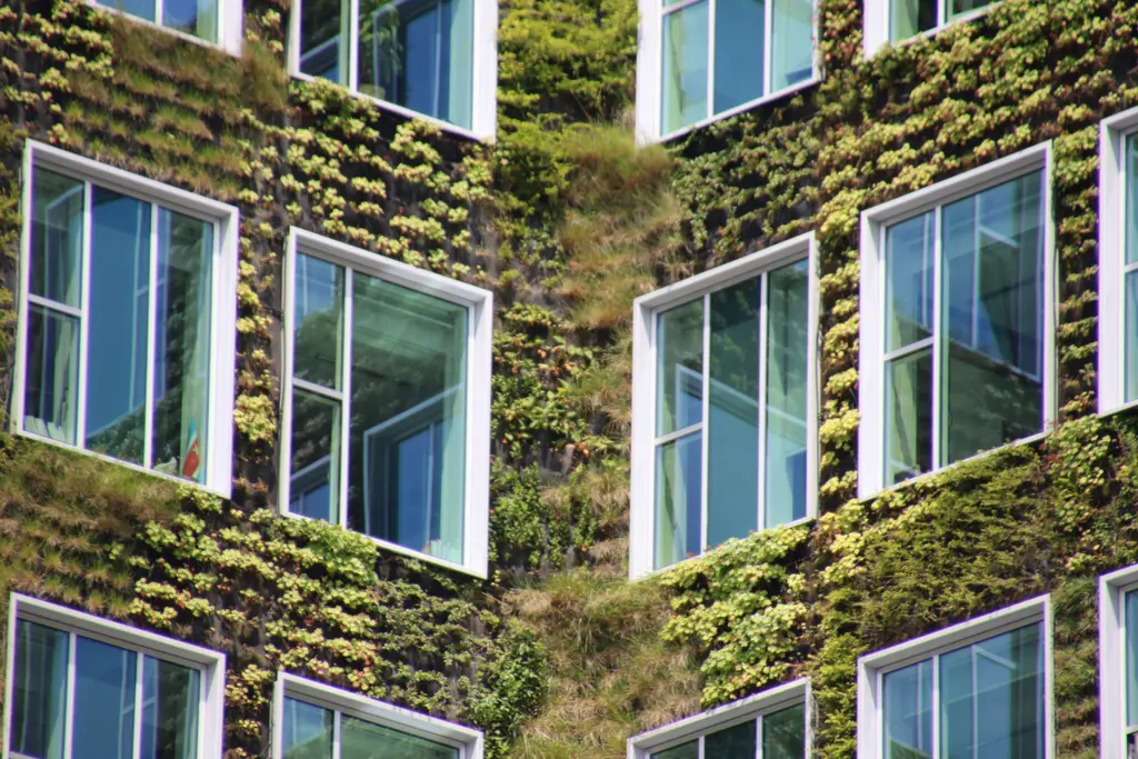 Jardínes verticales